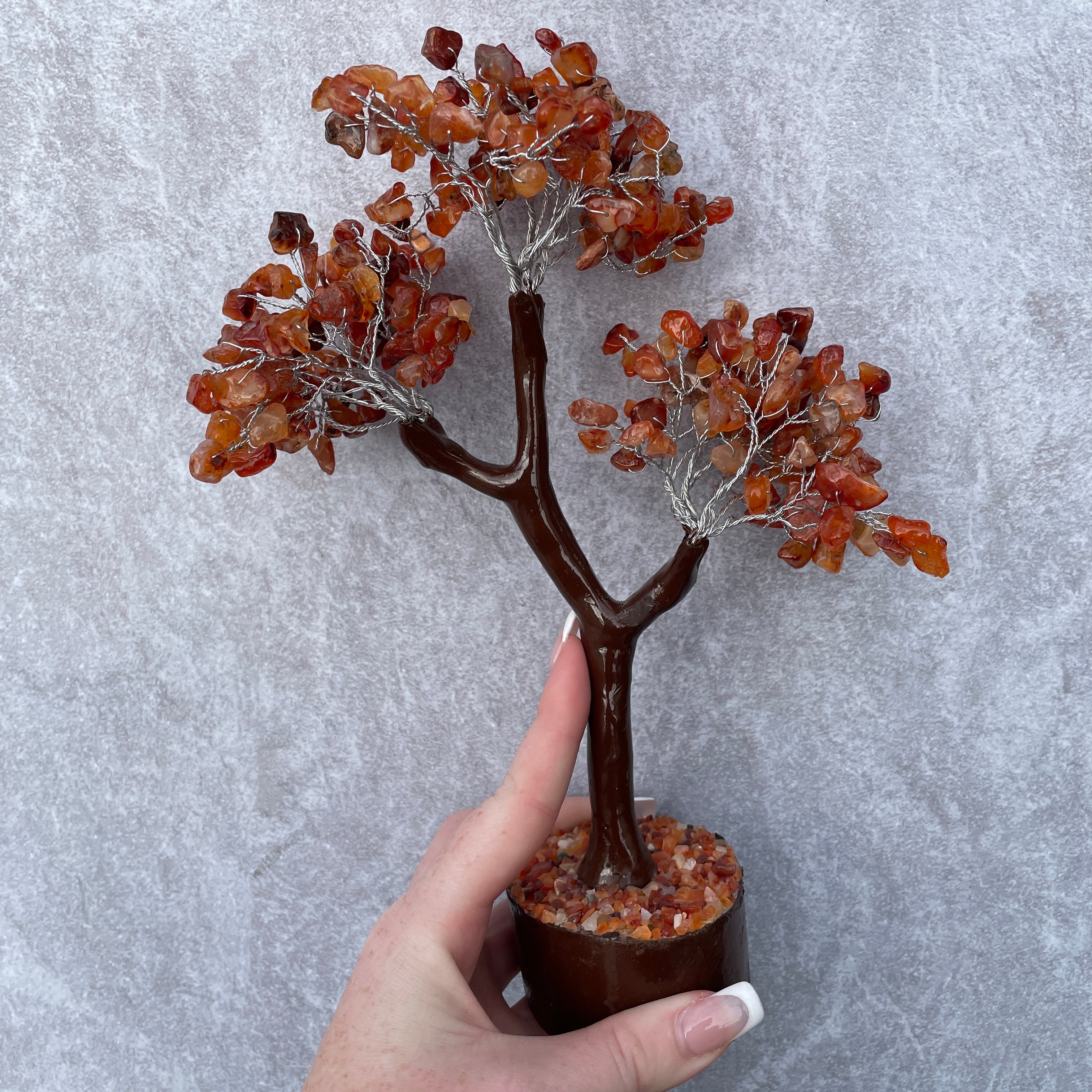 Carnelian Tree - Large 020 Carnelian Tree - Large 020